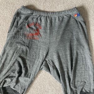 Aviator Nation super soft jogger shorts